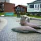 A sculpture on the beach celebrating the sea lions that are often seen in the area.