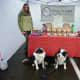 Tim and Skye enjoy some free dog treat samples.