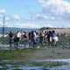 Beach Rangers and volunteers at Edmonds Marina Beach are available to lead groups and provide information about the beach at low tides.