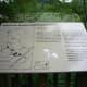 A map of the Edmonds Marsh trail and viewpoints