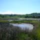 The Edmonds Marsh at low tide