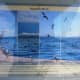 A sign to help identify the birds seen around the fishing pier