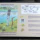 Another colorful interpretive sign with information about the beach ecosystem