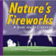 Nature's Fireworks: A Book About Lightning (Amazing Science: Weather) by Josepha Sherman