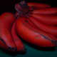 rainbow-of-colors-bananas