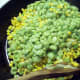 Add the cooked lima beans and stir.