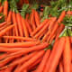 Bunches of Carrots