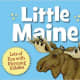 Little Maine (Little State) Board book by Jeannie Brett