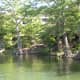 Mckinney Falls State Park Only Minutes from Downtown Austin TX