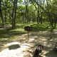 Mckinney Falls State Park Picnic with the family - Austin TX