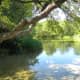 Mckinney Falls State Park enjoy the scenery - Austin TX