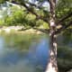 Mckinney Falls State Park Upper Falls Swimming - Austin TX