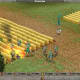 Empire Earth Gameplay