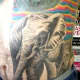 elephant-tattoos-and-designs-elephant-tattoo-meanings-and-ideas-elephant-tattoo-gallery