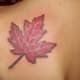 canadian-tattoos-and-designs-canadian-tattoo-meanings-and-ideas-canadian-tattoo-pictures