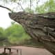 greenways-in-charlotte