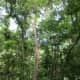 greenways-in-charlotte