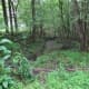 greenways-in-charlotte