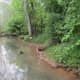greenways-in-charlotte