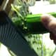 You can use a food processor for grating the zucchini but I chose to do it manually.