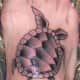 sea-turtle-tattoos-and-designs-sea-turtle-tattoo-meanings-and-ideas-sea-turtle-tattoo-pictures