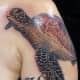 sea-turtle-tattoos-and-designs-sea-turtle-tattoo-meanings-and-ideas-sea-turtle-tattoo-pictures