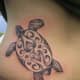 sea-turtle-tattoos-and-designs-sea-turtle-tattoo-meanings-and-ideas-sea-turtle-tattoo-pictures