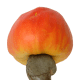 Cashew apple along with the attached cashew nut