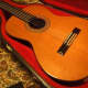 Here is my guitar again safely in her resting place, a beautiful lined hard case.