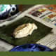 puerto-rican-pasteles-recipe