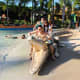 Amazing animal figures in Coolwaves Waterpark Resort!