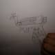 Drawing its tail
