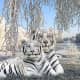 white-tiger-tattoo-designs-white-tiger-tattoo-ideas-white-tiger-tattoo-meanings-and-tattoo-pictures