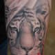 This white tiger tattoo design has a soft approach with the added flower within the tattoo, one way to soften your white tiger tattoo.
