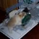 Just helping with the dishes