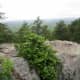 Amazing views atop the Rocktop Trail at Crowders Mountain State Park.