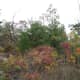 crowders-mountain-state-park