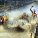 bull-festival-abull-sport-and-bull-worship-in-india