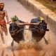 bull-festival-abull-sport-and-bull-worship-in-india
