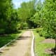 Trail near Butterfly Garden