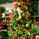 Christmas trees and ornaments for sale at Cornelius Nursery