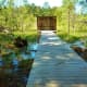 Wildlife lookout of Moccasin March at Kleb Woods