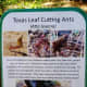 kleb-woods-nature-preserve-amazing-site-in-tomball-tx