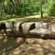 Hand-hewn bench