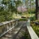 Walking through Mercer Arboretum