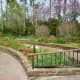 Appearance of ladders to border beds