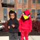 Front view of Red's Angry Bird costume, but Bomb didn't want to cooperate! Lol