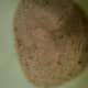 Salt cure plus extra brown sugar