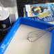 Mix flour, water, and a little salt to make a soupy glue mixture.