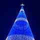 Mile High Tree in Denver, Colo. with blue and white lights